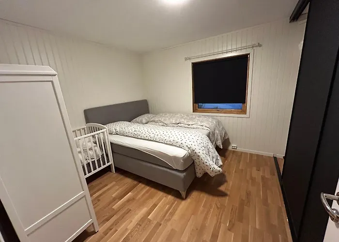 House In The Lights And Aurora * Tromsø