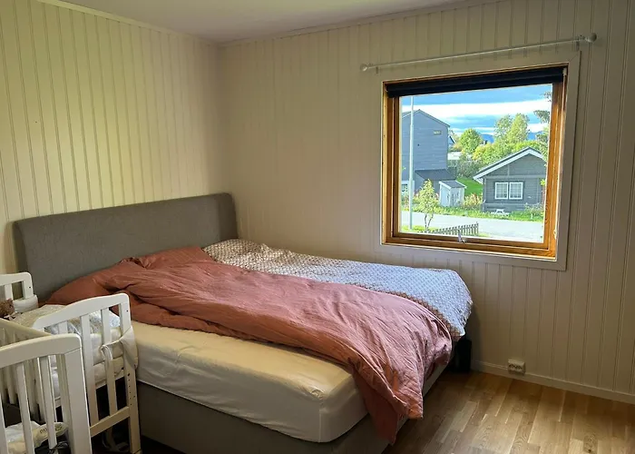 House In The Lights And Aurora *