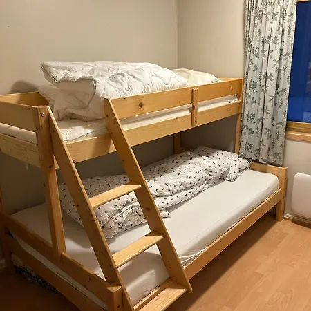 House In The Lights And Aurora